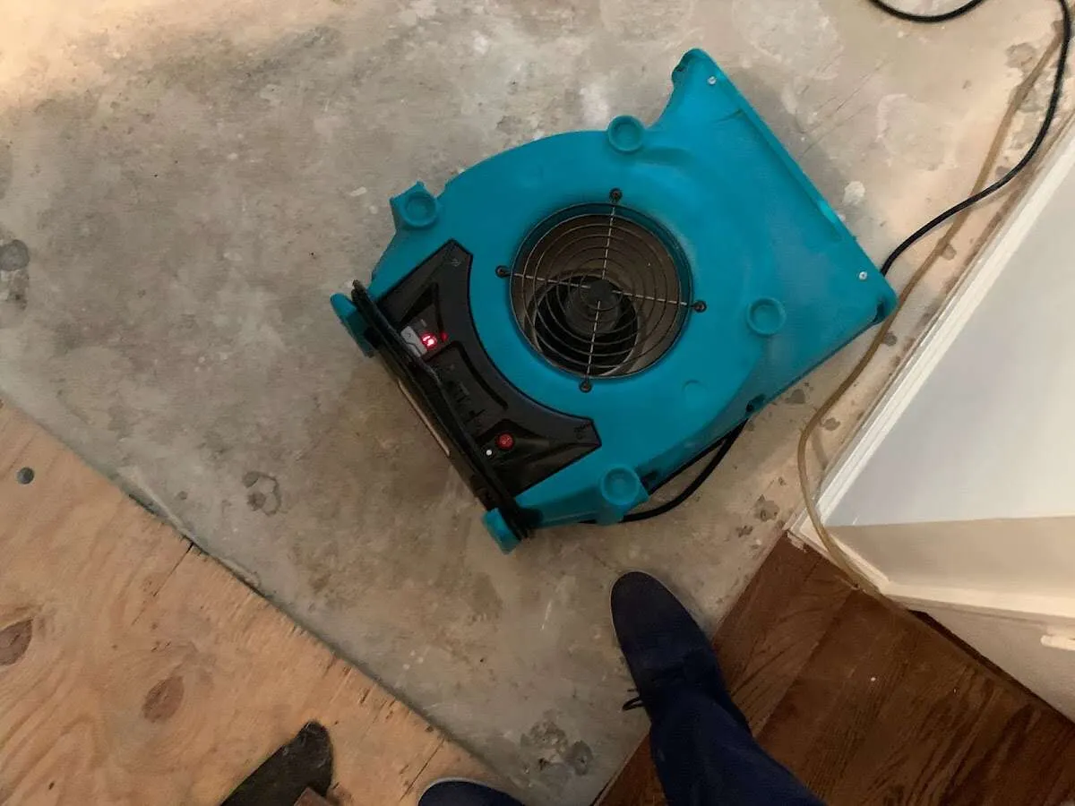 Air mover drying subfloor during Leak Detection & Repair in Chisago City